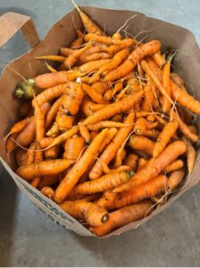 Large container of brightly colored carrots